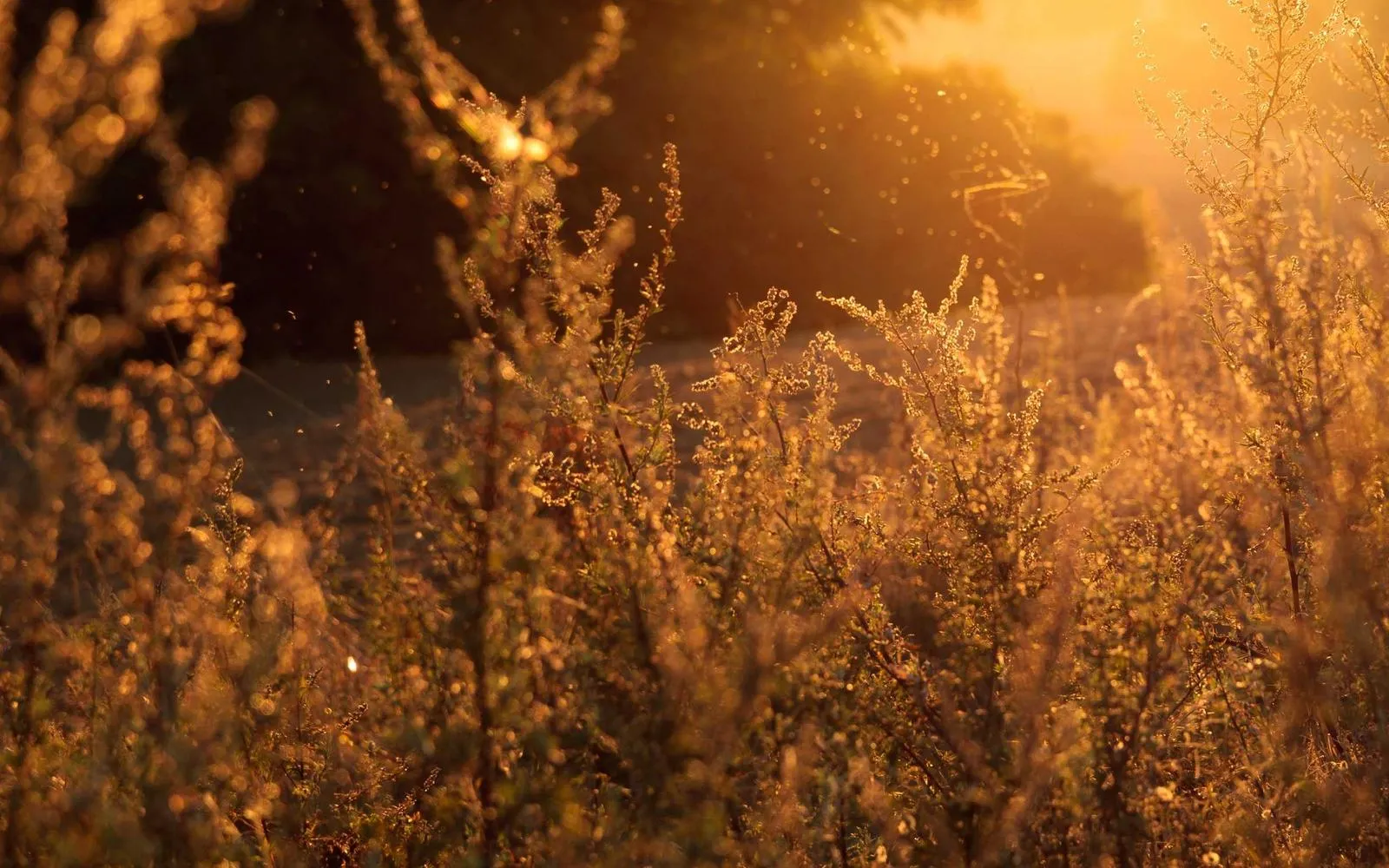 Paper Gray Photography Background 3*11 M — preview 2