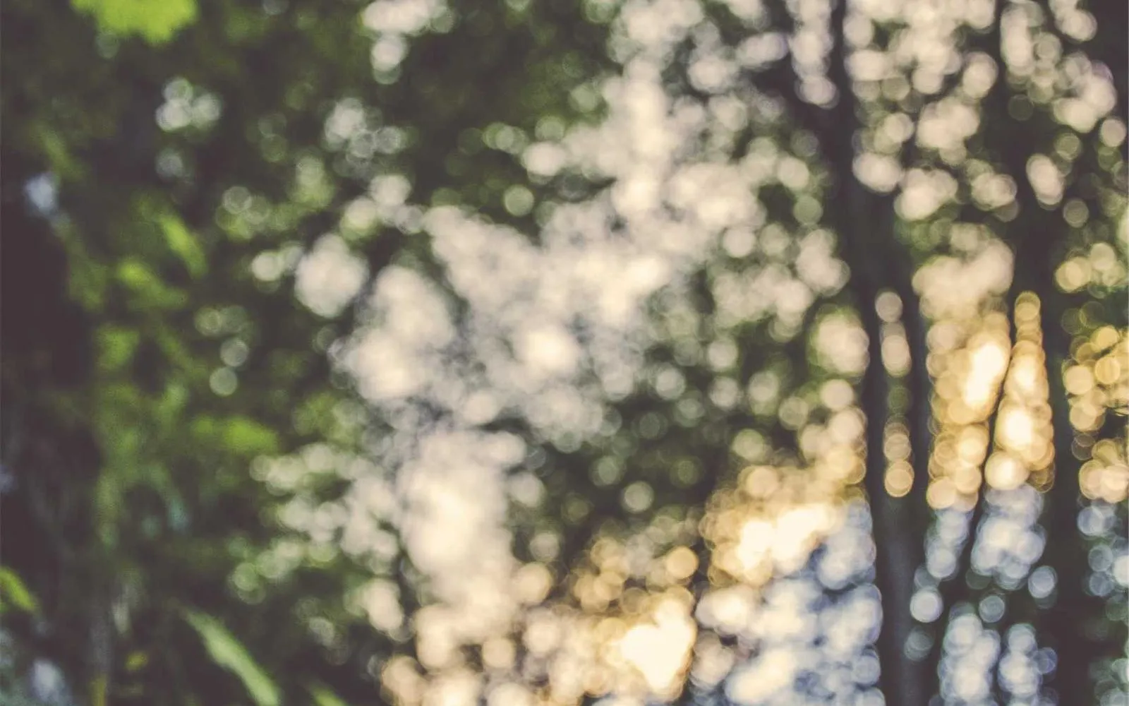 Polarize Variable Filter — preview 2