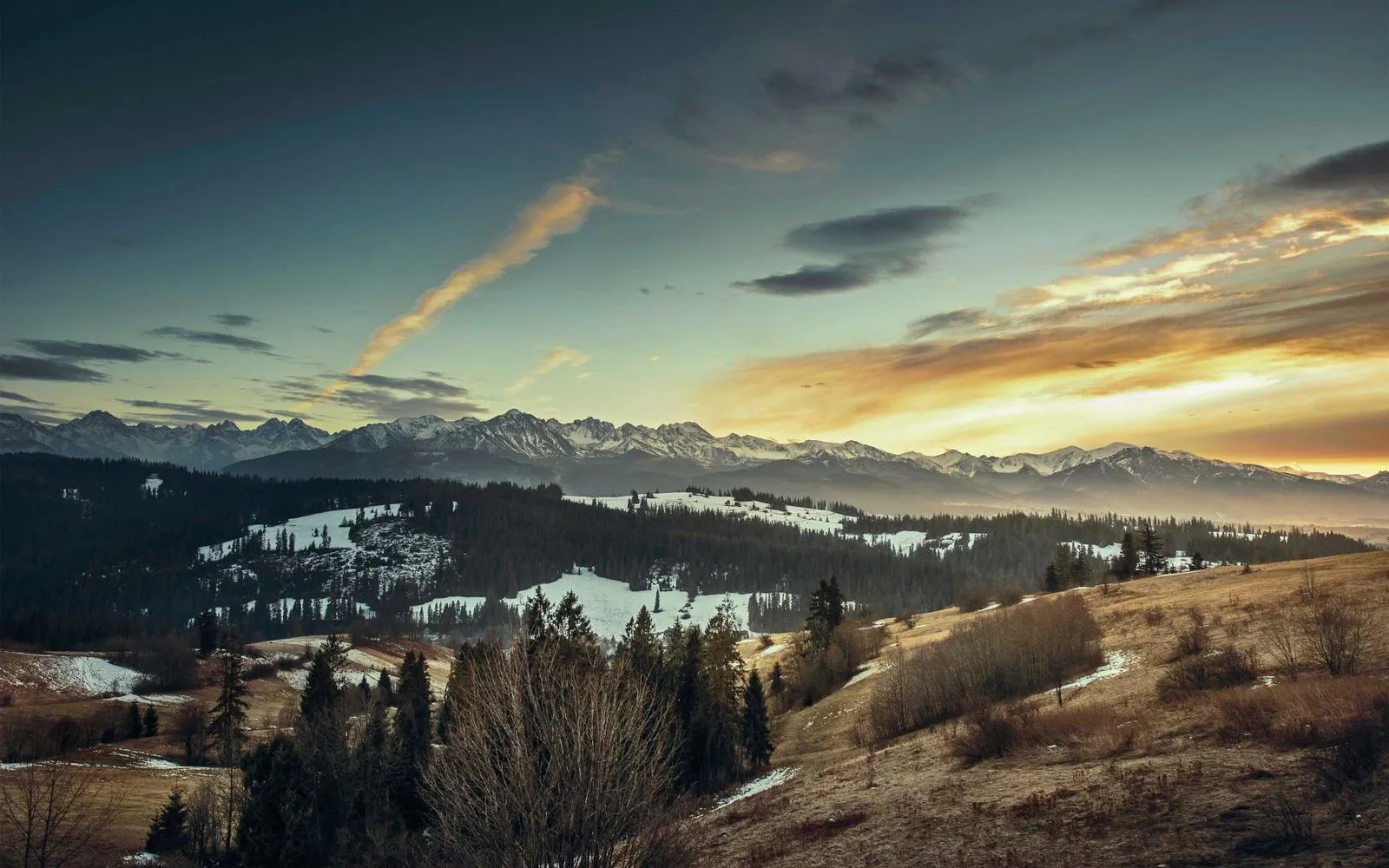 Sony A7 III — preview 3