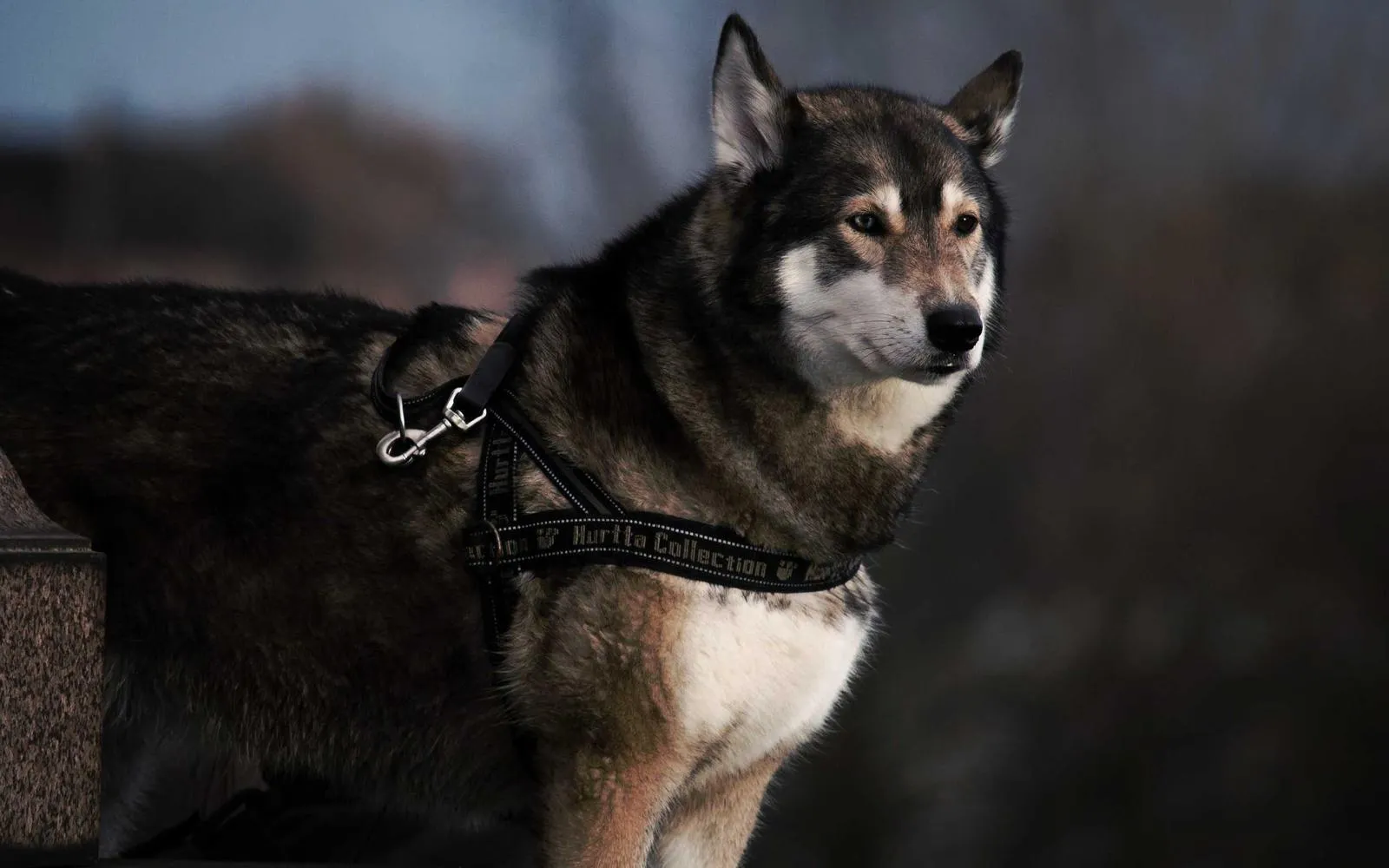 Entry Level — Accsessories
